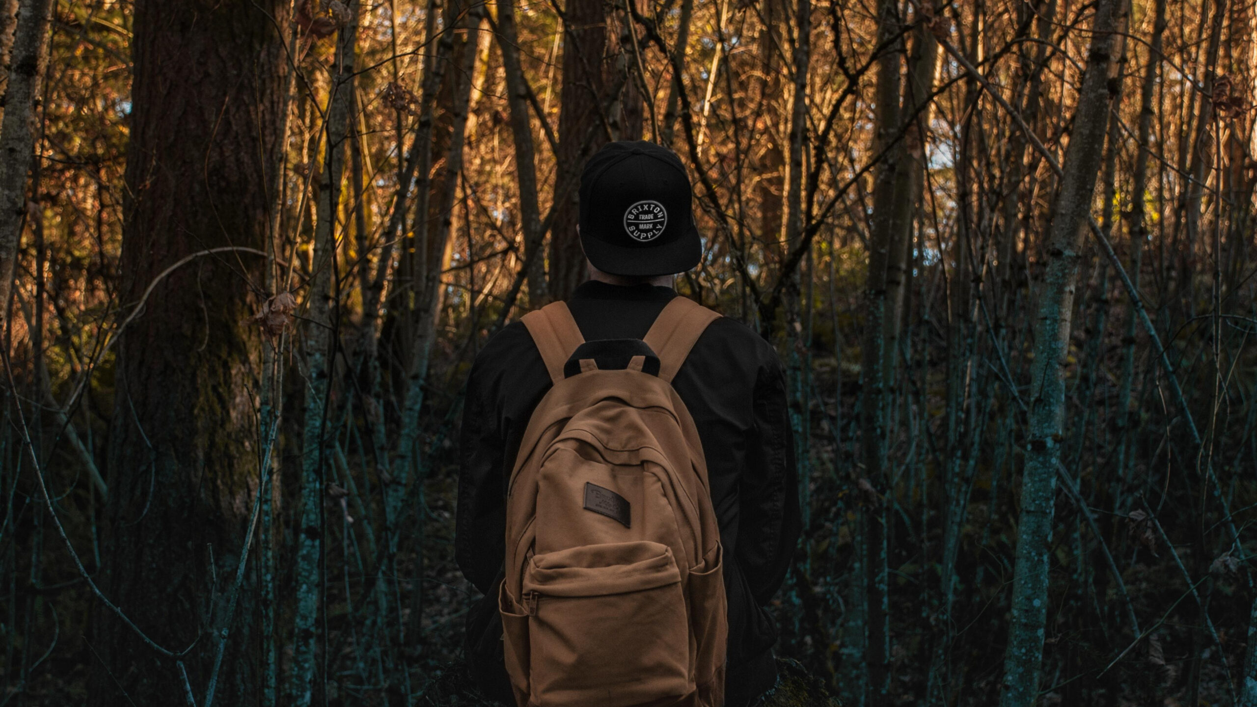 3554x1999_backpack-forest-travel-cap